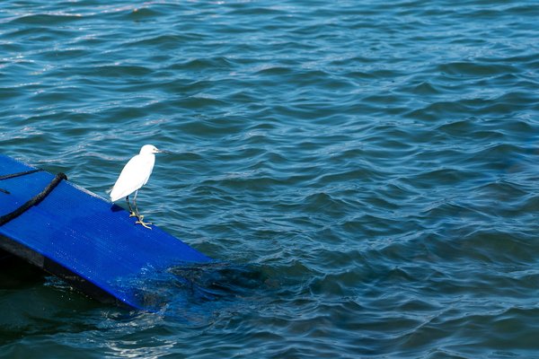 Understanding prenatal depression: key insights and supportive strategies from top uk obstetricians