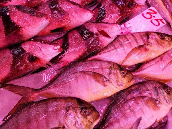 Empowering young voices: leading uk experts reveal proven strategies for childhood apraxia therapy